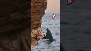 a rock climber meets a jumping stingray❗😲 [upl. by Ellynad]