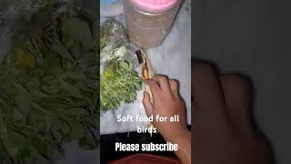 birds soft food for all birds [upl. by Llerahc]