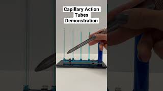 Capillary Action Tube Demonstration [upl. by Issi]