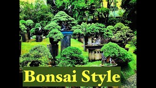 Episode 123 Bonsai Chronicles 05 Basic Bonsai Styles [upl. by Ybbob333]