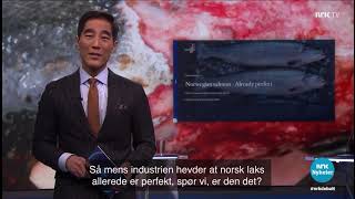 quotCarnage in the Seasquot PR nightmare for Norwegian salmon live on TV [upl. by Lynnette5]