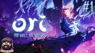 Kus First Flight  Lets Play Blind  Ori and the Will of the Wisps  100  1 [upl. by Ferdinande]