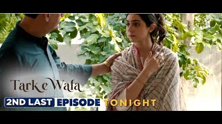 Tark e Wafa Episode 75  Promo Mohib Mirza  Hina Chaudhary  21 September 2024  ARY Digital Drama [upl. by Happy]