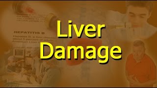 What Causes Liver Damage [upl. by Leizahaj25]