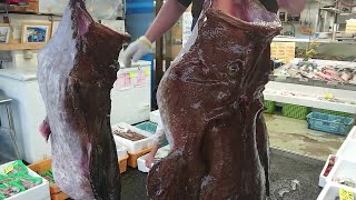 So Graphic  Huge LIVE Monkfish Skinining  BESt Japanese Fish Cleaning Skills [upl. by Lattonia]