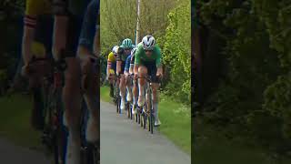 Holland Cup 2024 highlights cycling sport wielrennen koers [upl. by Ayaladnot]