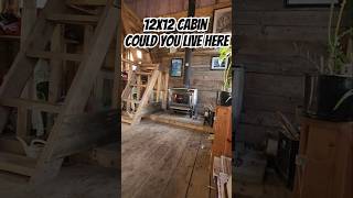 12x12 Cabin Could You Live Here [upl. by Ner]