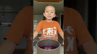 Jugo de Uva 🍇 cocinandoconmatthew jugonatural uva saludable batidosaludable smoothie fyp fy [upl. by Torray]