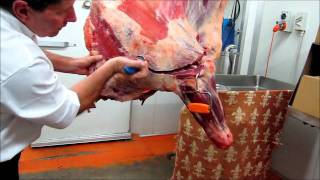 Part 1  How to bone a Forequarter of beef demonstration by Master Butcher Michael Cross [upl. by Sibylla]