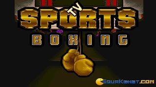 TV Sports Boxing gameplay PC Game 1991 [upl. by Dnomhcir]