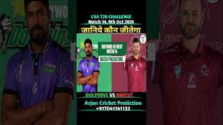 Dolphins Vs North West Dragons CSA T20 Challenge 2024 Match 14 Prediction  csat20 dolVsNwest [upl. by Longerich]