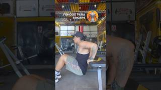 FONDOS para TRICEPS 🔥 triceps tricepsworkout gymtips gymgirl gymrat fitness gym [upl. by Pimbley]