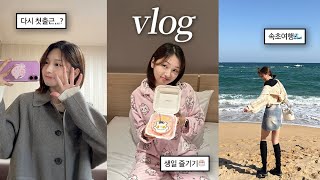 vlog 인턴 EP06 밥잘주는예쁜회사 ㅣ속초 1박2일🌊 카페 숙소 대만족👍 [upl. by Ayahsal2]