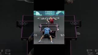 Table Tennis best points paris2024 tabletennis worldtabletennis wtt worldpingpong shorts [upl. by Minor797]