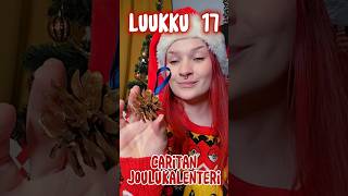 LUUKKU 17 Käpykoriste joulukuuseen 🎄 DIY [upl. by Ilujna]