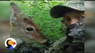 Deer Befriends Hunter Friendly Deer Shows Hunter Love  The Dodo [upl. by Eisaj]