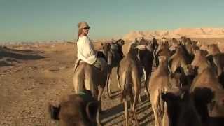 Camel rides through the Desert in Egypt [upl. by Tybie]