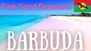 Barbuda Top Attractions amp Best Things To Do 2024 Travel Guide [upl. by Manton30]