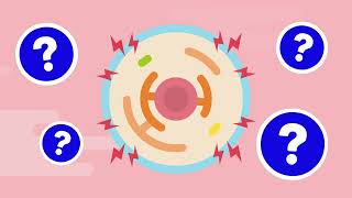 Emerging Therapeutics for APOL1Mediated Kidney Disease [upl. by Ettenwad]