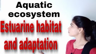 Estuarine habitat  adaptation of Estuaries animal Aquatic ecosystem [upl. by Hsejar854]