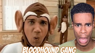 FIRST TIME HEARING  Bloodhound Gang  The Bad Touch [upl. by Knitter]