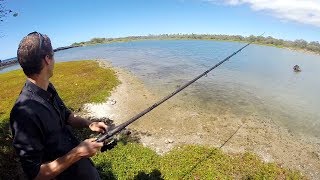 Fishing In A Traditional Hawaiian Fish Pond  Kaloko Honokohau National Park [upl. by Haiacim176]