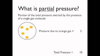 What is partial pressure [upl. by Nueoras260]