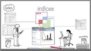 Indicee Business amp Sales Reporting Made Easy [upl. by Novihc488]