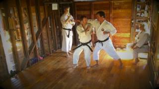 Pinan Sandan Bunkai [upl. by Akoek]