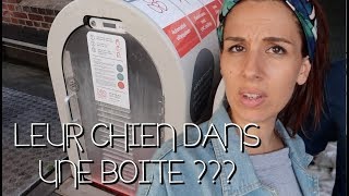 ILS METTENT LEURS CHIENS DANS UNE BOITE  VLOG A OSLO [upl. by Ahsyle926]