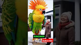 Colorful Birds of the World in new trend birds short viralvideo birdslover cutebirds [upl. by Taggart380]