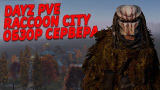 Dayz КАЙФОВЫЙ PVE Сервер ОБЗОР RACCOON CITY [upl. by Maller]