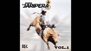 El pavido navido  banda la jaripera [upl. by Elcarim293]