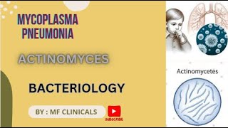 Actinomyces  Mycoplasma pneumonia mbbs bacteriology [upl. by Ioved]