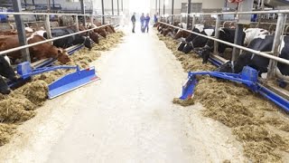 Delaval Feed pusher FPM300 In action first customer in Canada [upl. by Hamann898]