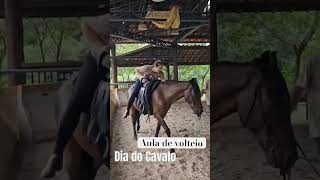 Neste dia do CAVALO partilho uma aula de volteio que foi uma das experiências mais legais de 2024 [upl. by Dent718]