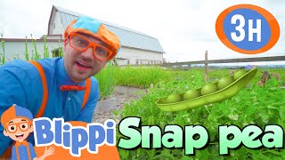 Blippi LOVES The Farm  BLIPPI  Kids TV Shows  Cartoons For Kids  Fun Anime  Popular video [upl. by Lucienne]