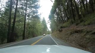 Driving from Laytonville to Willits California [upl. by Akir]