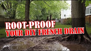 How to Keep Roots From Growing in Your French Drain System [upl. by Becker]