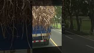 Traveling inside the wheelhouse of a Hino trailer truck shorts truck hino [upl. by Dej]