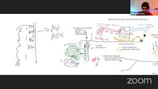 Fisiologia Cardiaca  Microcirculación y Edema [upl. by Zane]