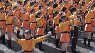 Galasha Festival 2024  Drill  Kyoto Tachibana SHS Band [upl. by Flem633]