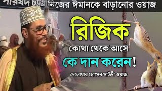 রিজিক কি দেলোয়ার হোসেন সাউদী delwar hussain saidi trimcut5 voiceofdin [upl. by Anehsak477]