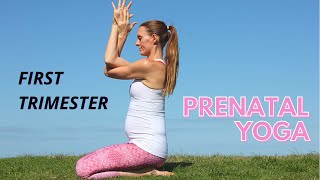 Prenatal Yoga  First Trimester Sequence [upl. by Shelah]