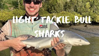 Brisbane River  Light Tackle Bull sharks [upl. by Aivyls]