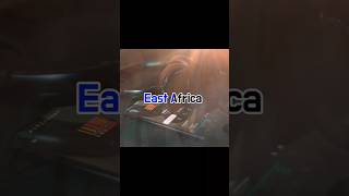 Dishta feat Akon lyrics africa music song ethio habesha ethiopia hellohabesha [upl. by Attenyw]