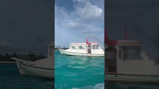 Maldives view shortvideo travel ofwmaldives [upl. by Fortier]