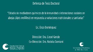 Defensa de Tesis Doctoral  Lic Enzo Domínguez [upl. by Nodnalb]