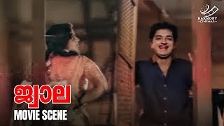 Jwala Movie Scene  Prem Nazir  Sheela  Romantic Malayalam Movie Scene [upl. by Nwadrebma435]