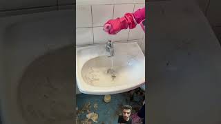 keep clean home 🏡 bathroom toilet cleaning tips deepcleaning cleaning youtubeshorts [upl. by Ranzini]